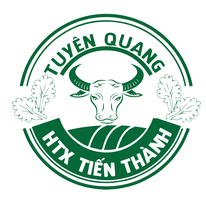 Thịt bò H’Mông tươi Tiến Thành (OCO 3 sao)